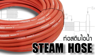 ท่อสตีมไอน้ำ-Steam hose